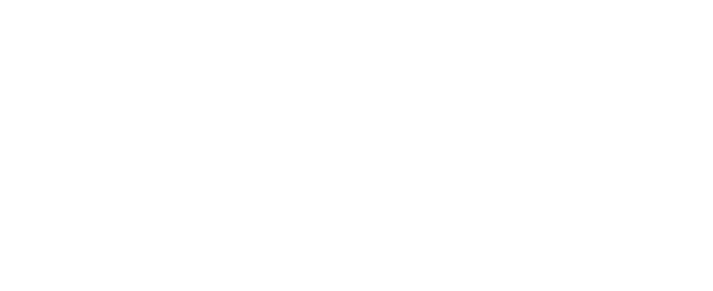 Logo UPVFD